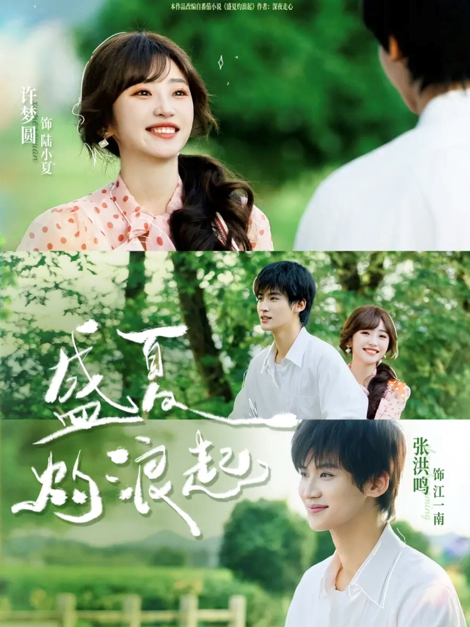 盛夏灼浪起全集