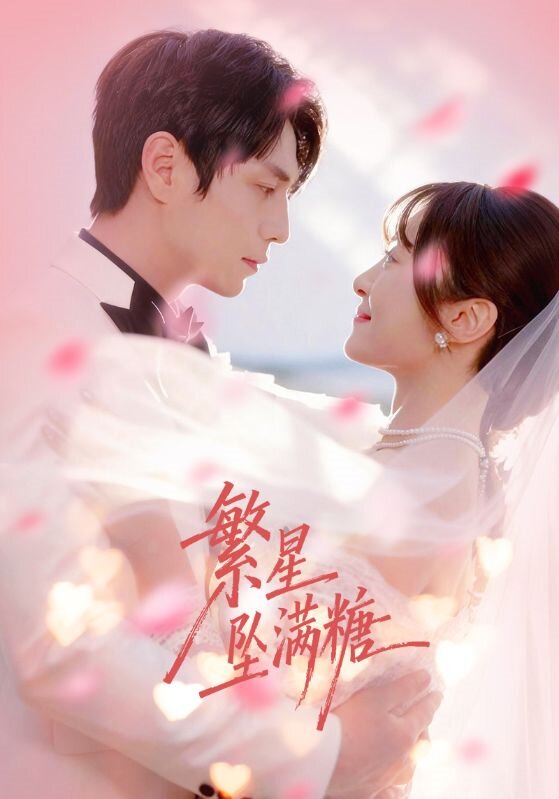 繁星坠满糖全集
