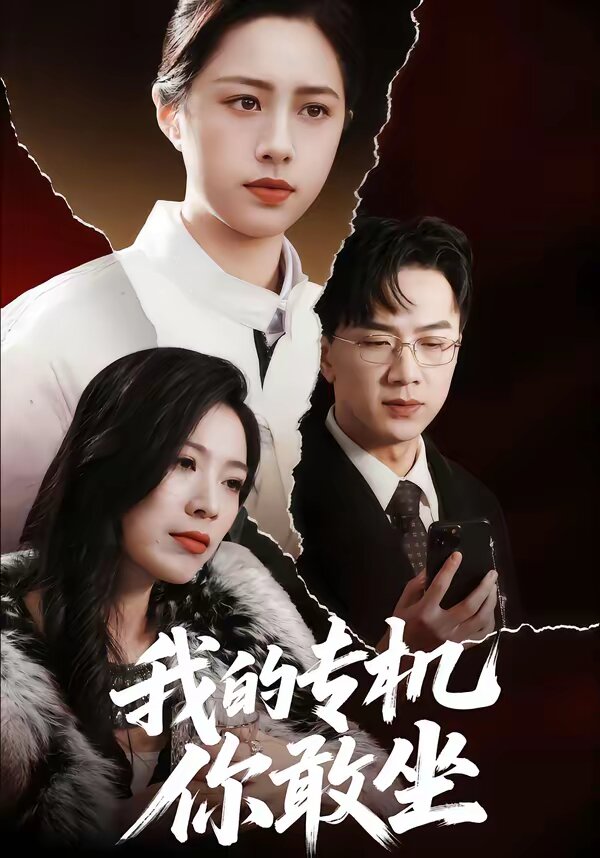 我的专机你敢坐全集