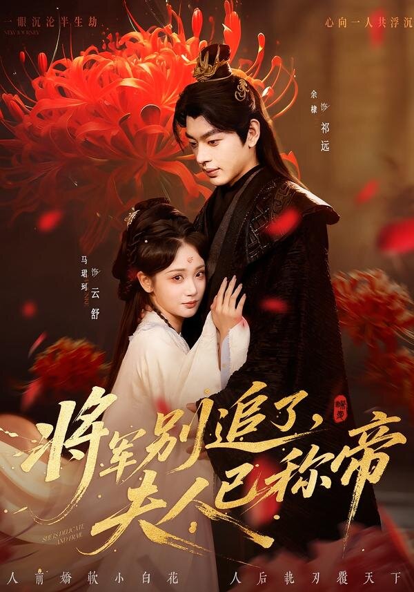 将军别追了，夫人已称帝全集