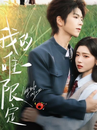 我的唯一限定全集