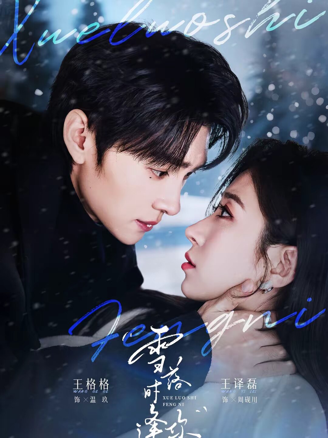 雪落时逢你全集