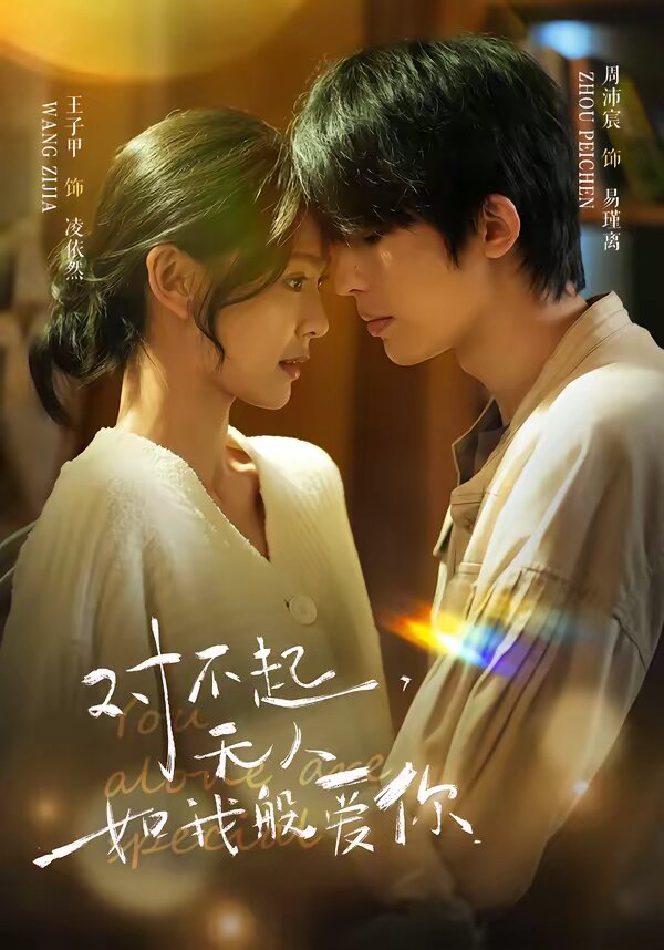 对不起，无人如我般爱你全集