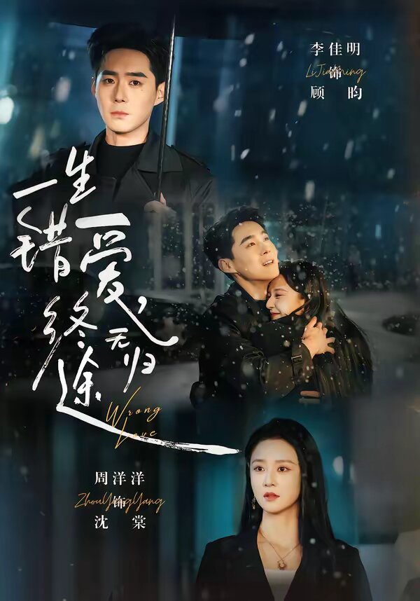 一生错爱，终无归途全集