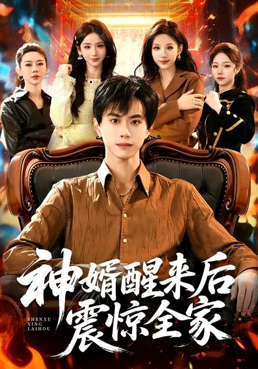 神婿醒来后震惊全家全集