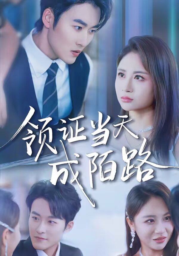 领证当天成陌路全集