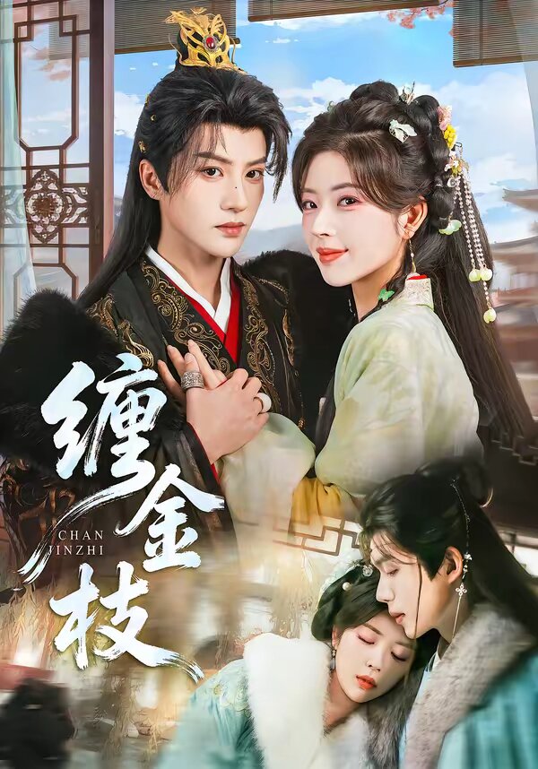 缠金枝全集