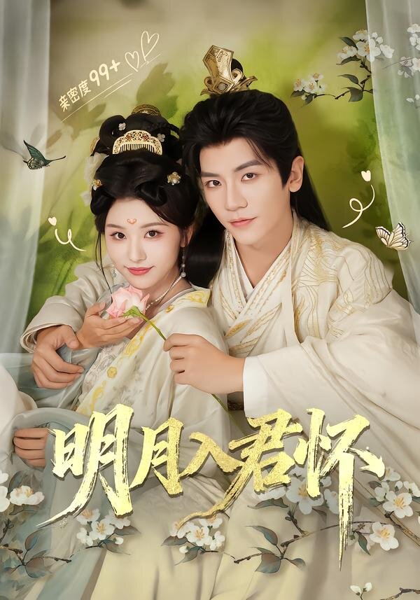 明月入君怀全集