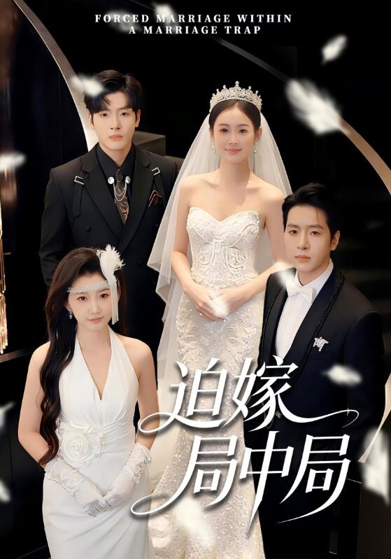迫嫁局中局全集
