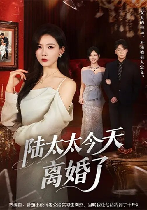 陆太太今天离婚了全集