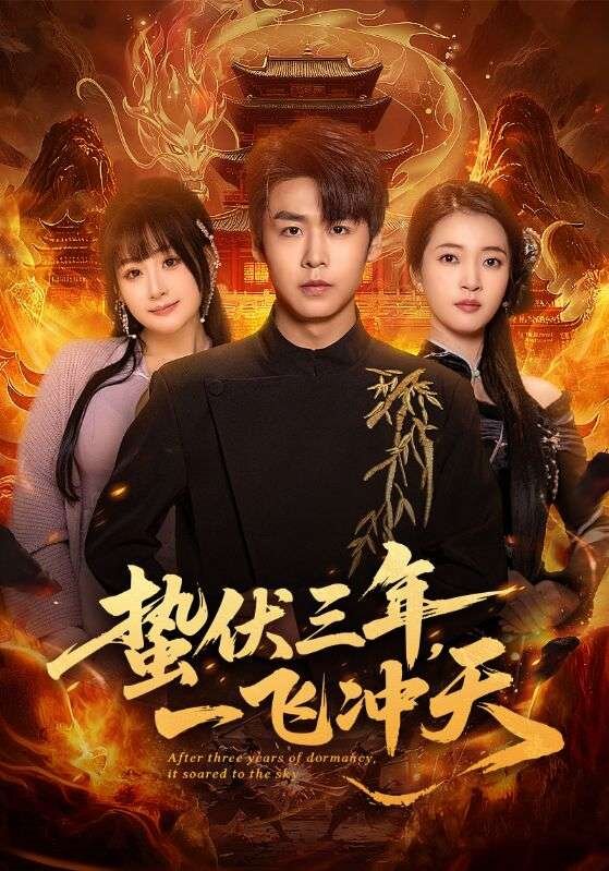 蛰伏三年，一飞冲天全集
