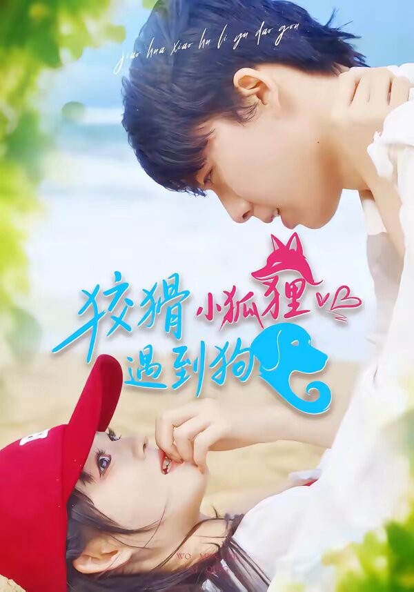 狡猾小狐狸遇到狗全集