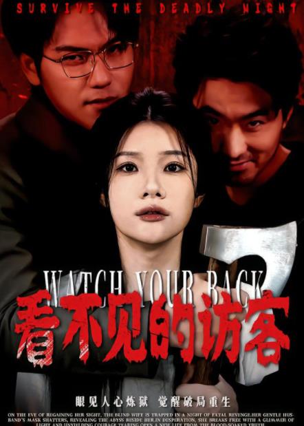 看不见的访客全集