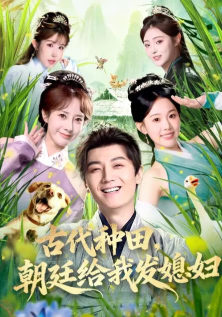 古代种田，朝廷给我发媳妇全集