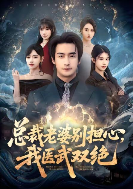 总裁老婆别担心，我医武双绝全集