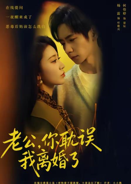 老公，你耽误我离婚了全集