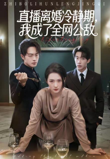 直播离婚冷静期，我成了全网公敌全集