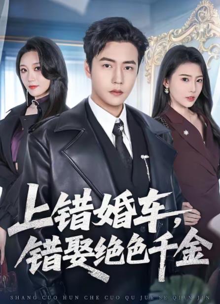 上错婚车，错娶绝色千金全集