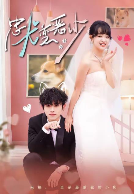 惊！我家来福变恶少了全集