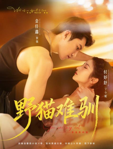 野猫难驯全集
