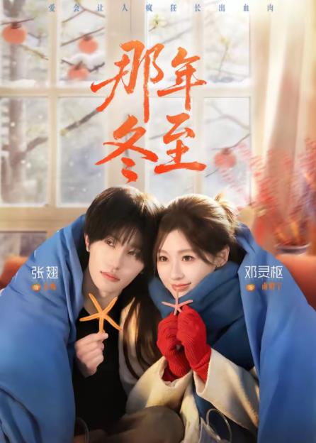 那年冬至全集