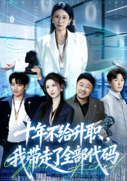 十年不给升职，我带走了全部代码全集