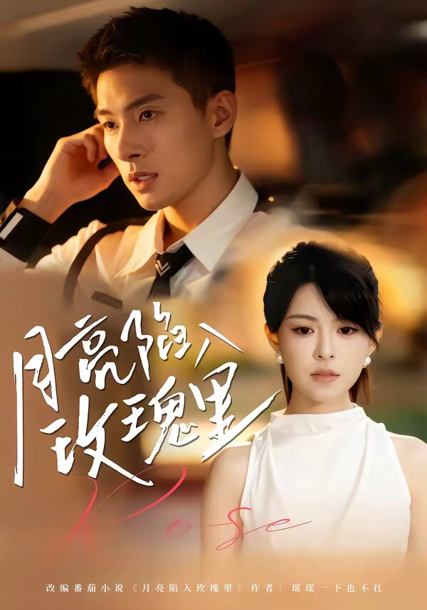 月亮陷入玫瑰里全集