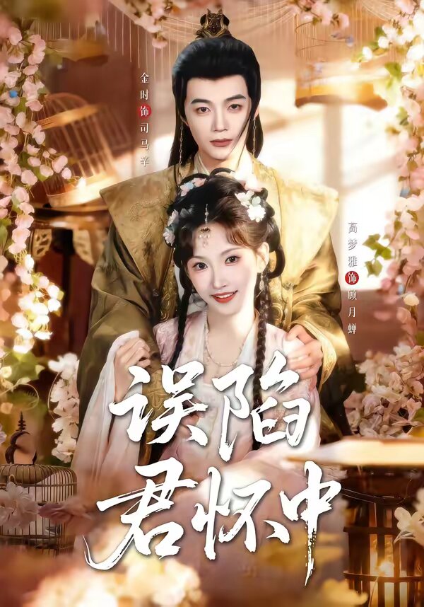 误陷君怀中全集