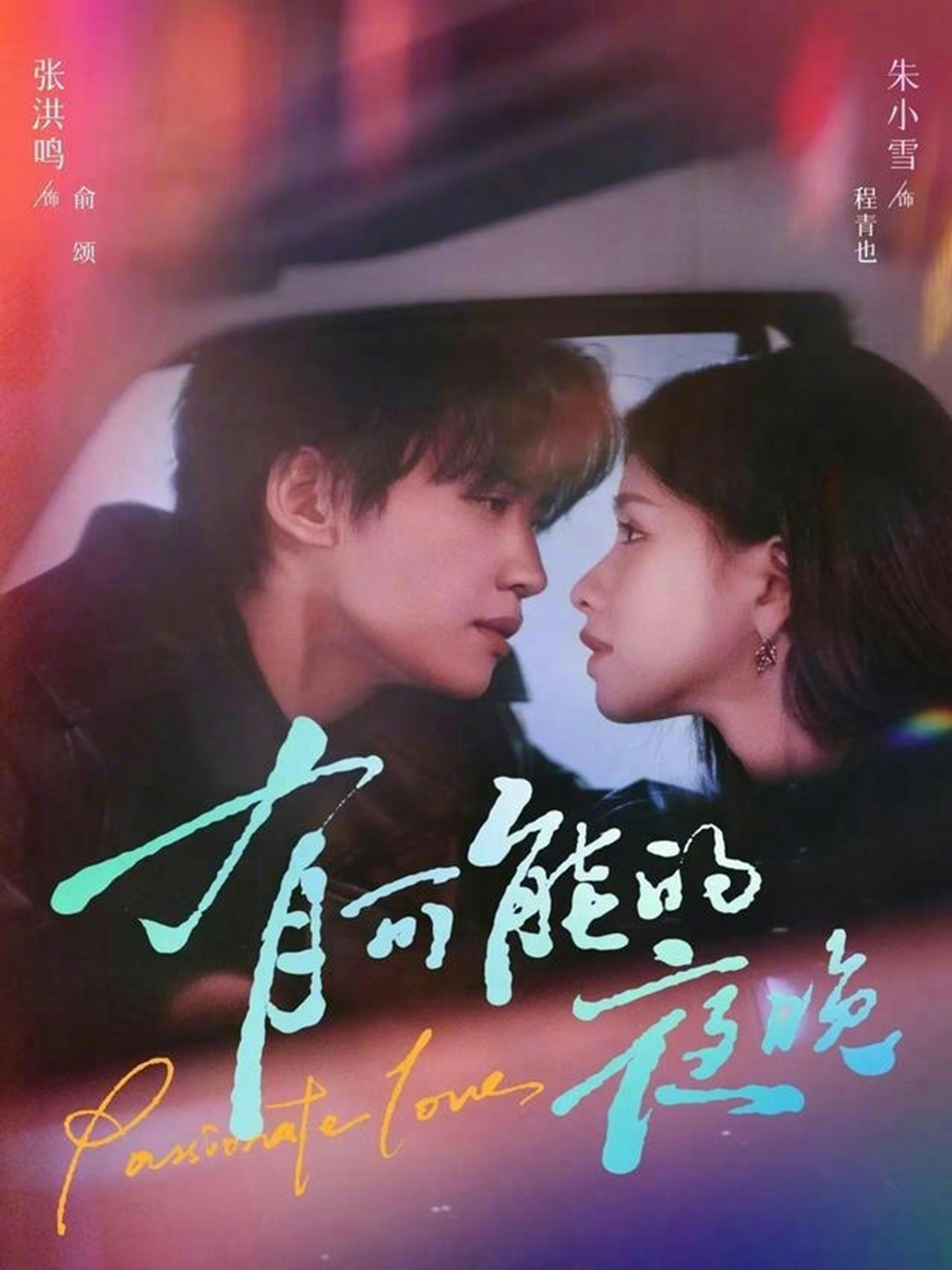 有可能的夜晚全集