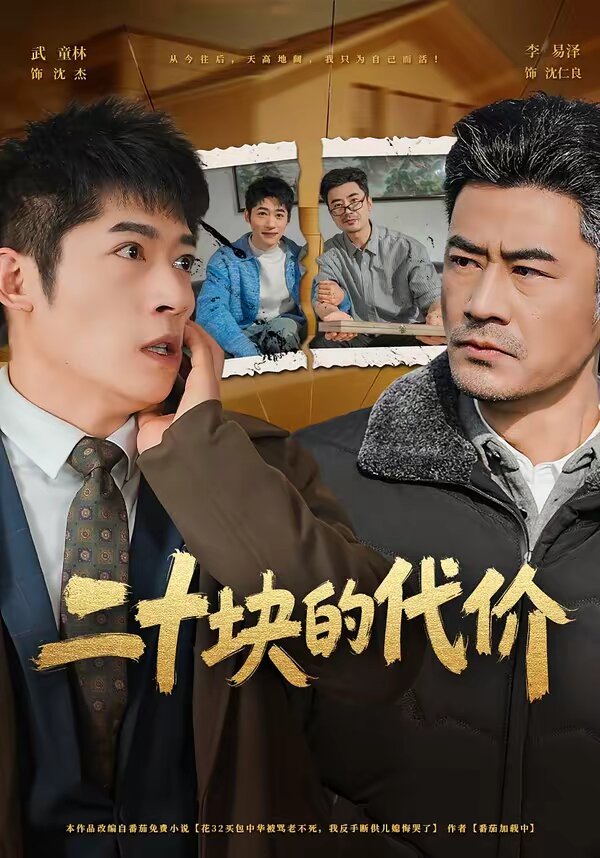 二十块的代价全集