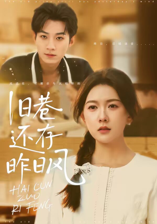 旧巷还存昨日风全集