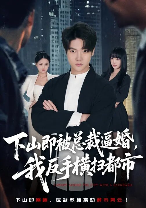 下山即被总裁逼婚，我反手横扫都市全集