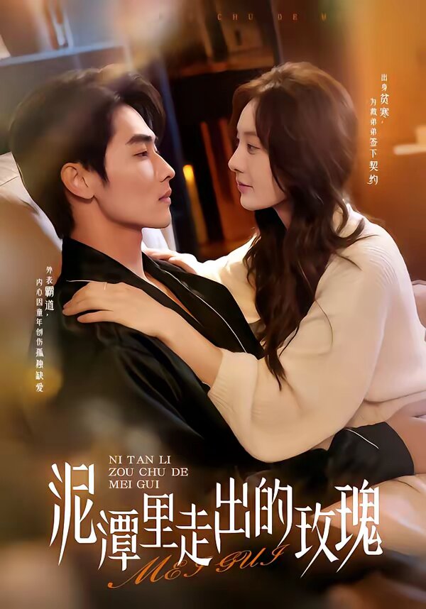 泥潭里走出的玫瑰全集