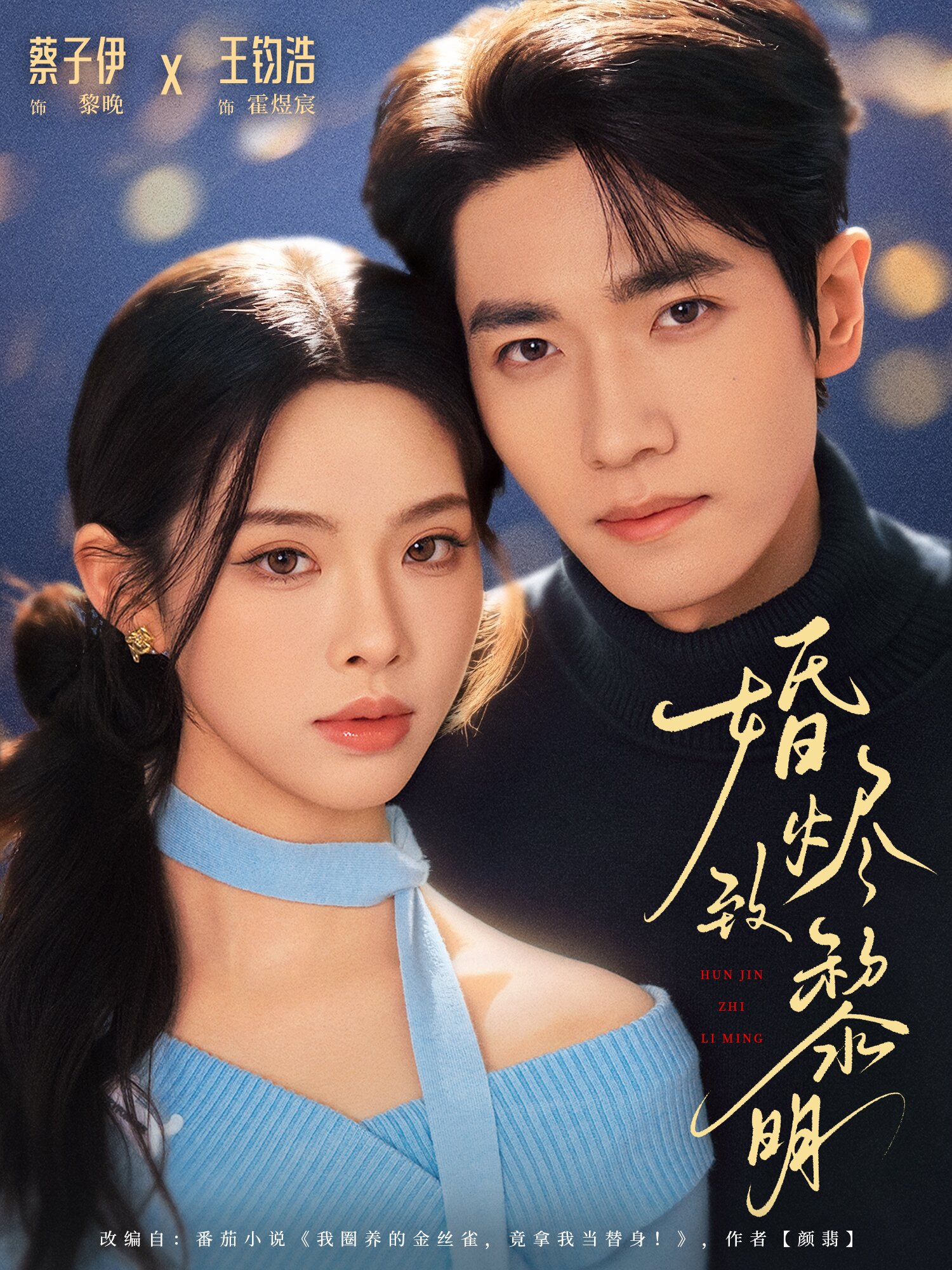 婚烬致黎明全集