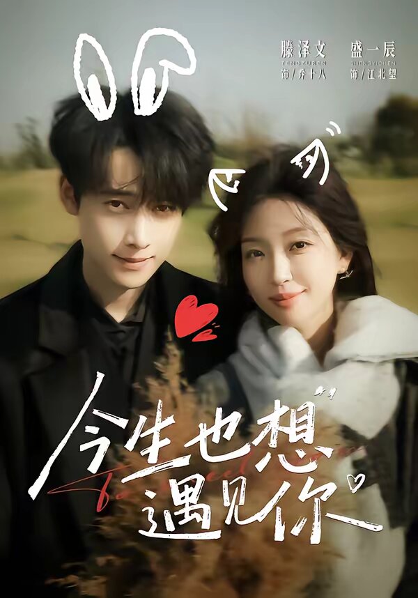 今生也想遇见你全集