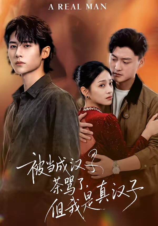 被当成汉子茶骂了，但我是真汉子全集