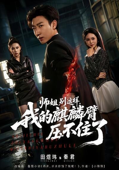 师姐别这样，我的麒麟臂压不住了全集