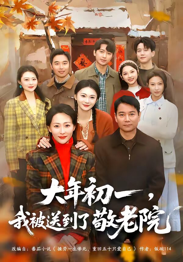 大年初一，我被送到了敬老院全集
