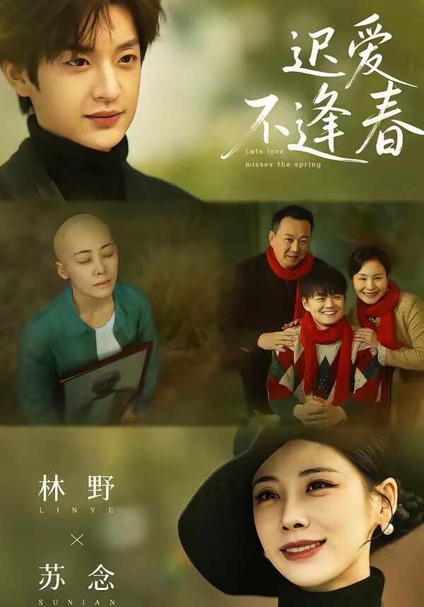 迟爱不逢春全集