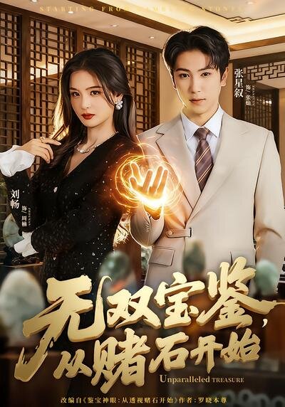 无双宝鉴，从赌石开始全集