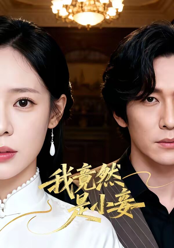 我竟然是小妾全集