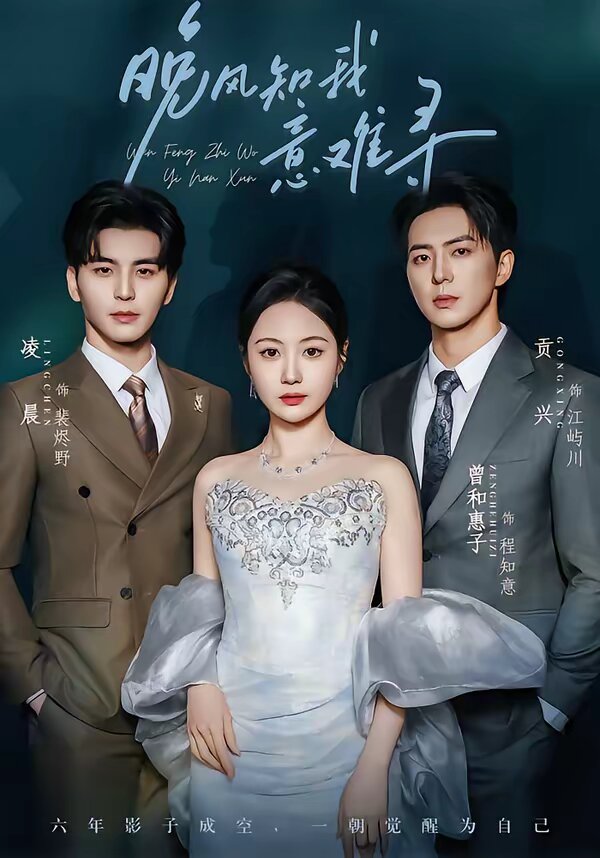 晚风知我意难寻全集