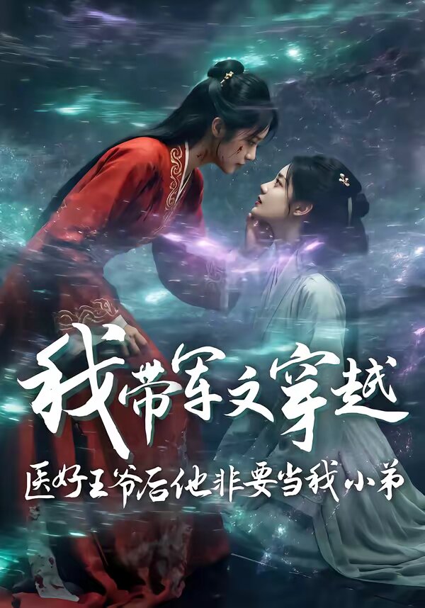 我带军文穿越医好王爷后他非要当我小弟全集