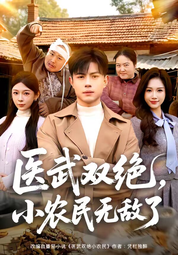 医武双绝，小农民无敌了全集