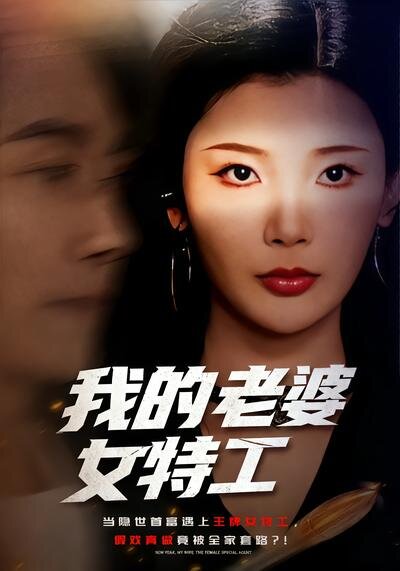 我的老婆女特工全集