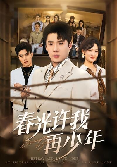 春光许我再少年全集