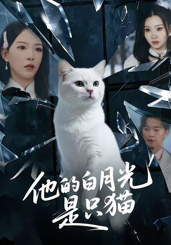他的白月光是只猫全集