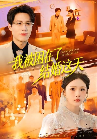 我被困在了结婚这天全集