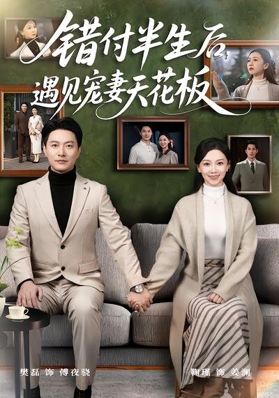 错付半生后，遇见宠妻天花板全集