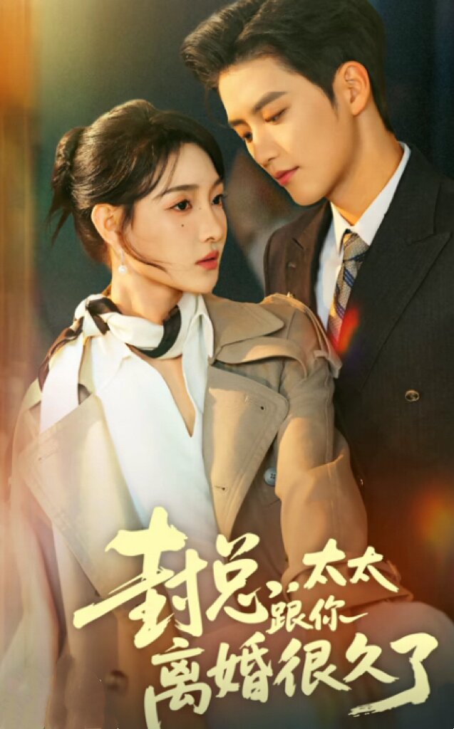 封总，太太跟你离婚很久了全集